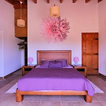 Guest house Vida Pura *