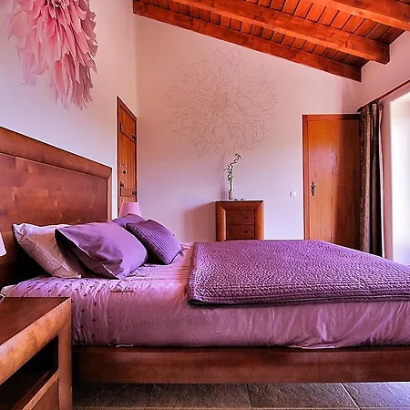 Vida Pura * 奥德赛克斯