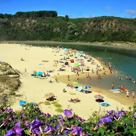 招待所 Vida Pura *