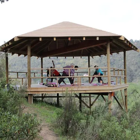 Guest house Vida Pura *