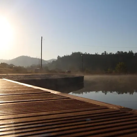 Vida Pura * 奥德赛克斯